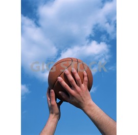 Ball Sports 12